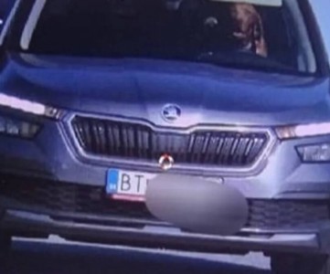 Осторожно! Животные! За рулем!