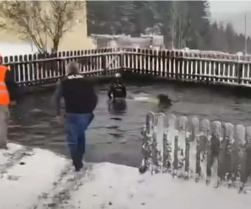 Смотрите, как раллийный автомобиль скатывается прямо в бассейн